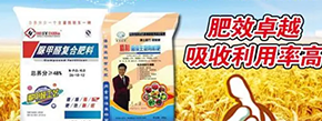山西富邦肥业有限公司