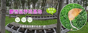 辛集市金牧科技有限公司